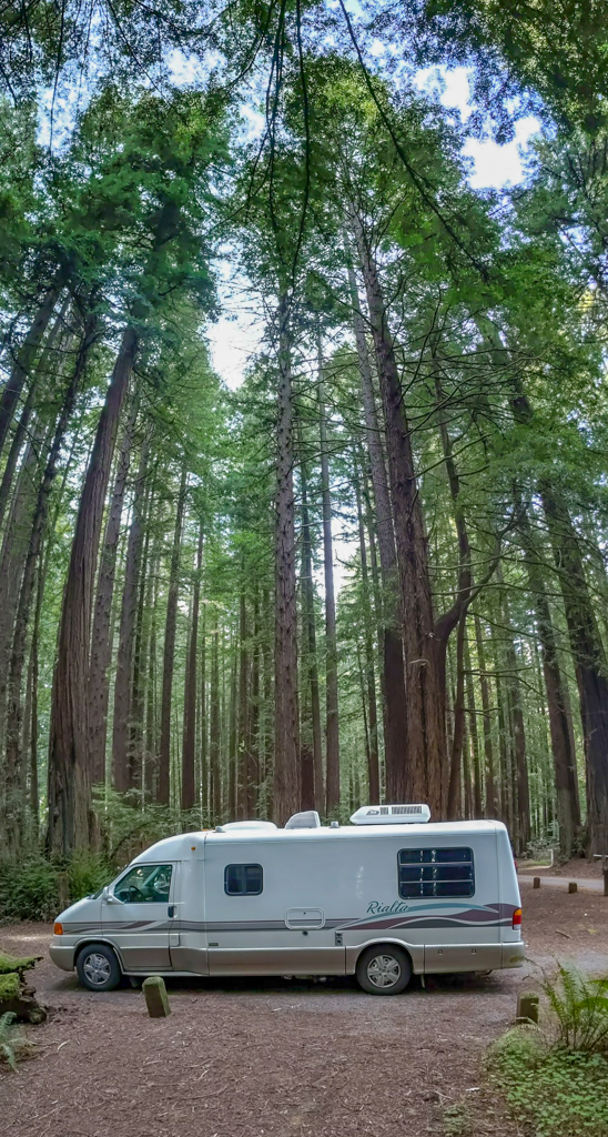 Old-growth redwood trees tower around our motorhome which is parked at Burlington Campground in Humboldt Redwoods State Park 