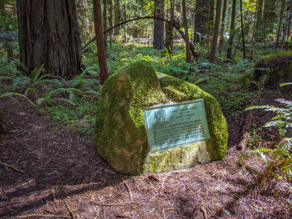 Mahan Plaque reads: Laura Perrott Mahan 1867-1937 | James P Mahan 1867-1937 | Pioneers in the Save-the-Redwoods League. The California State Park Commission has dedicated to their memory this site where on Nov 19 1924, Mr and Mrs Mahan discovered that logging had begun and led the movement that resulted in the saving of this grove.