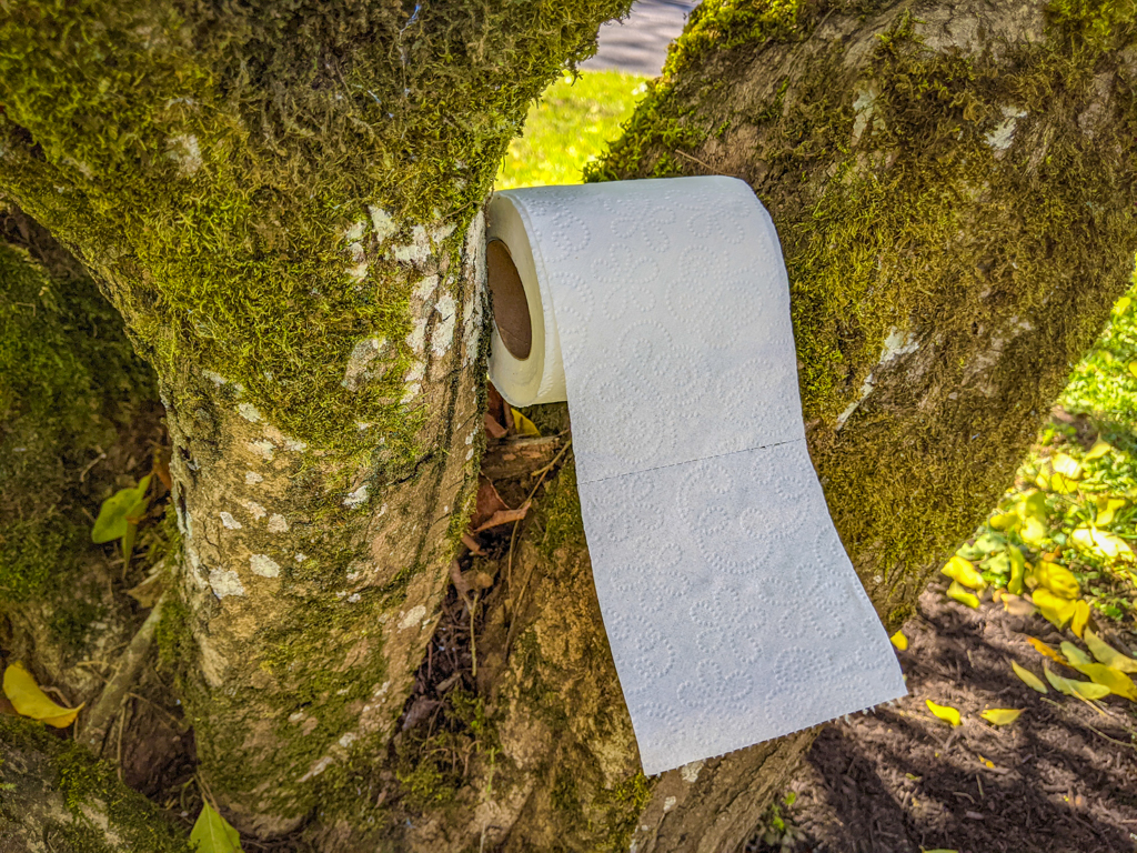 A roll of toilet paper in a tree, useful for when one is going to pee outdoors.