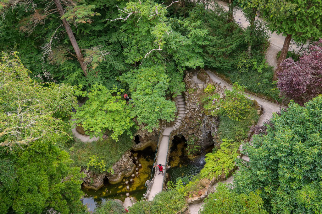 Birds-eye view of hiking paths that wind through a forested park and by a small waterfall