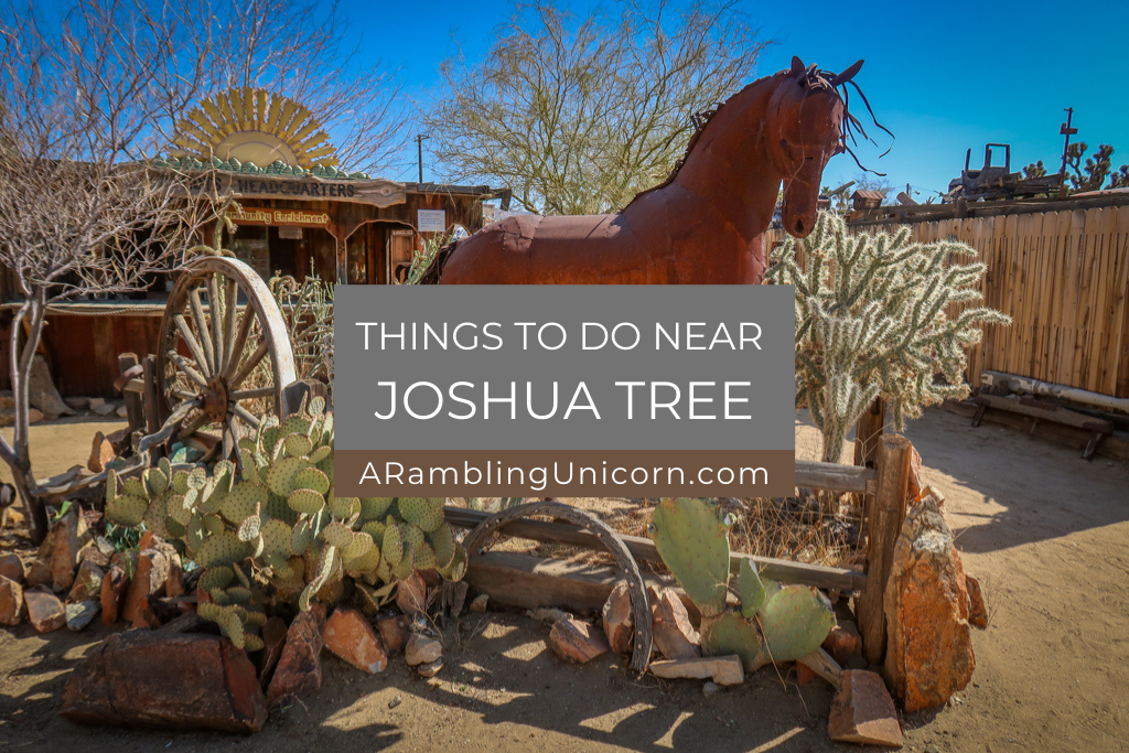 10 Fun and Quirky Things to Do Near Joshua Tree