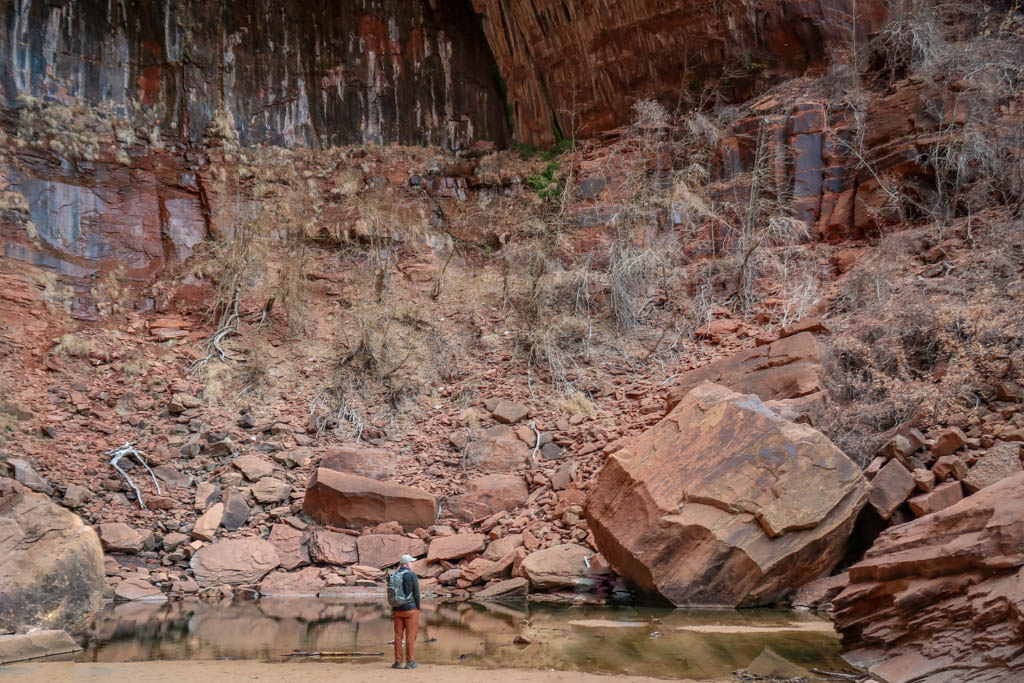 A hiker stands by a small green pool of water framed with tall red cliffs in the background which have colorful streaks left by water