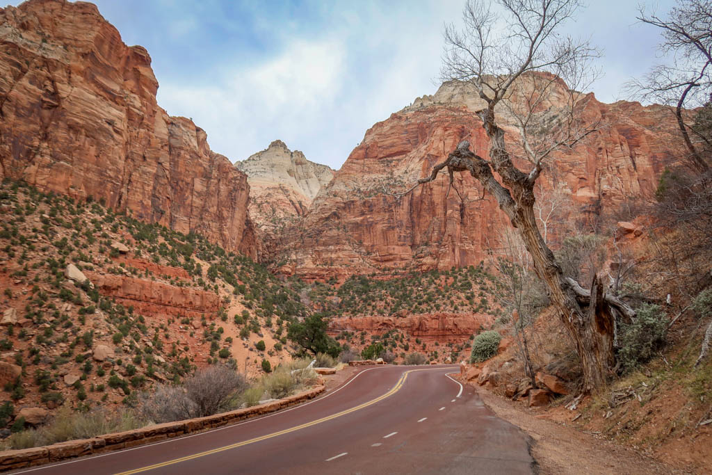 Highway winding through towering red canyon walls