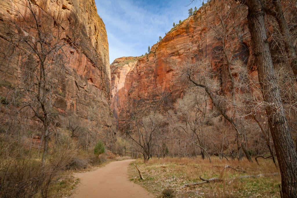 Dirt hiking trail with tall red canyon walls towering on either side in Zion National Park