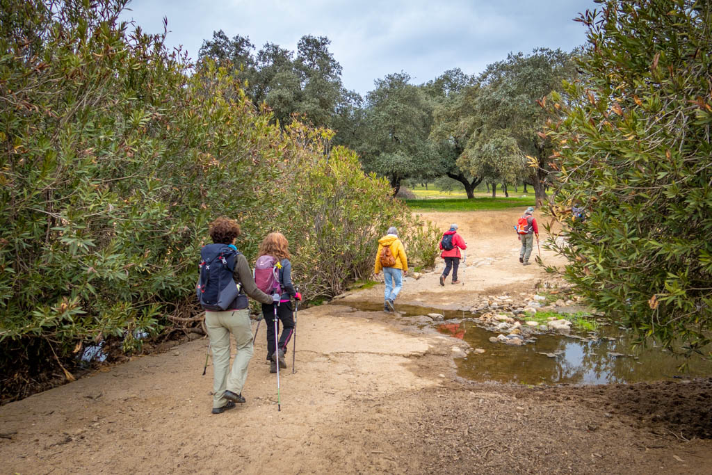 A group of hikers cross over the Arroyo de las Cañas stream single file