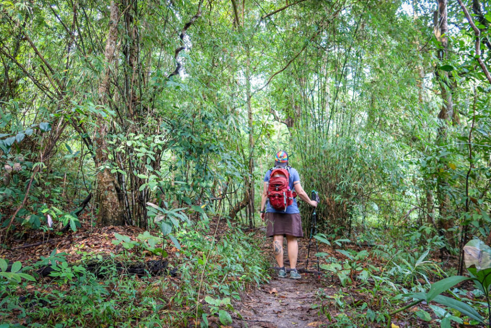 Chiang Mai Hikes: Four Easy Jungle Treks with Great Views