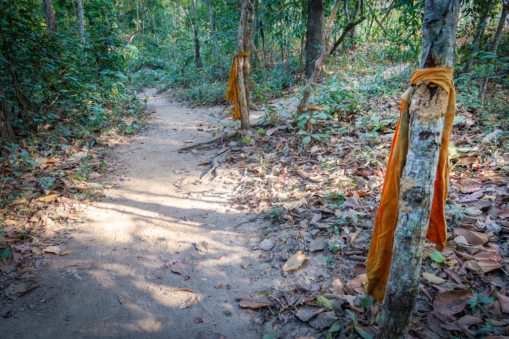 Orange ribbons mark the path for the Monk's Trail, one of the best Chiang Mai hikes